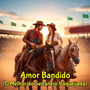 Amor Desconfiado, O Melhor do Sertanejo Vaqueijada