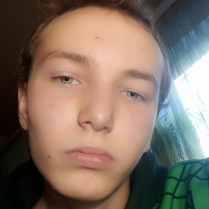 Мерин