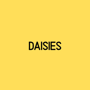 Daisies