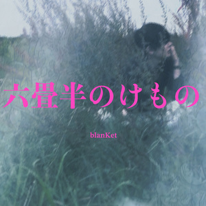 六畳半のけもの