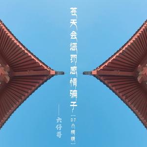 苍天会惩罚感情骗子 (DJ小桐版)