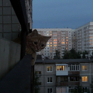 темный принц