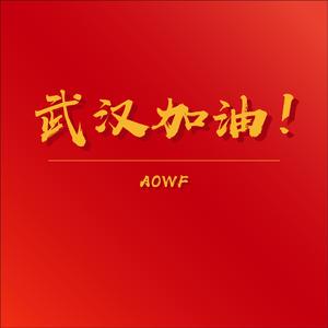 武汉加油（Prod Furly)