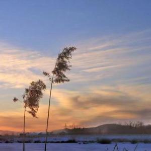 关于爱情只字不提