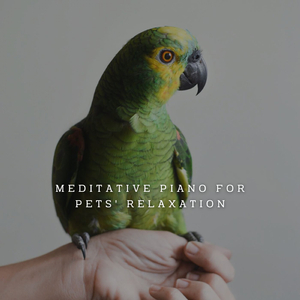 Pianissimo Pet Serenades