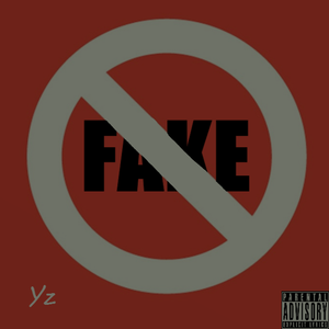 假的（prod.by房间里的大象）