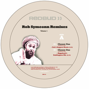 Chosen One (Biggabush DubSteppers Mix)