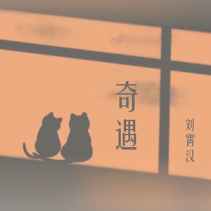 奇遇