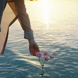 逃跑计划-夜空中最亮的星（吉他指弹）（千叶归一 remix）