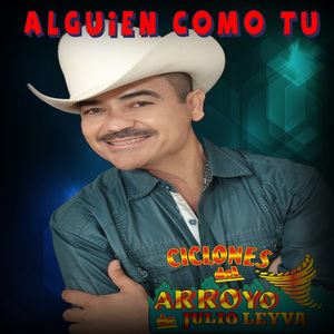 Lo Vas a Ver (cover)