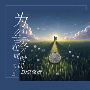 为什么爱在不同时间 (DJ浩然版)