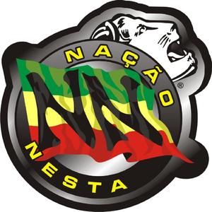 O.C.P. (o cérebro só o pó)