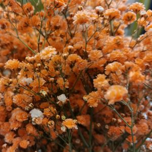 september調子はどうだい