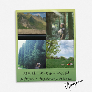 起风了，风吹落一地花瓣