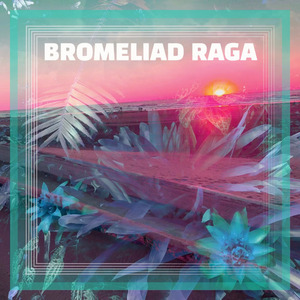 Bromeliad Raga