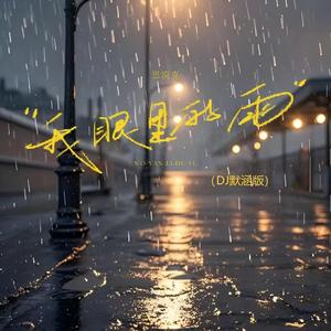 我眼里的雨（DJ默涵版）