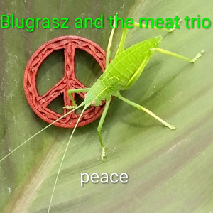 Peace