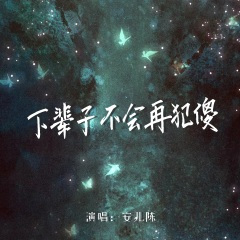 下辈子不会再犯傻