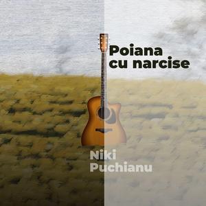 Andante (feat. Niki Puchianu)