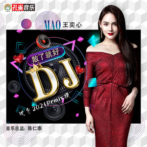 散了就好 (DJ沈念2021Remix版)