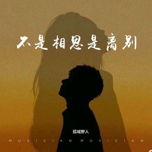 不是相思是离别