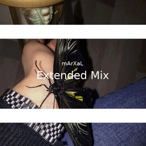Extended Mix