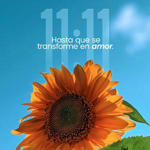 Hasta que se transforme en amor