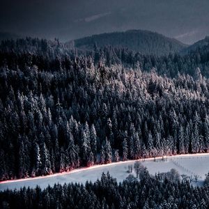 稻花香里说丰年 (4)