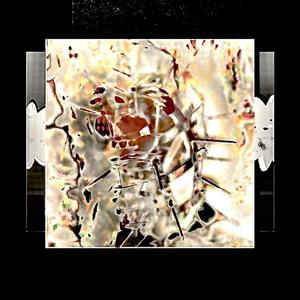 NOISE (I'm sorry in advance)