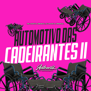 Automotivo das Cadeirantes 2