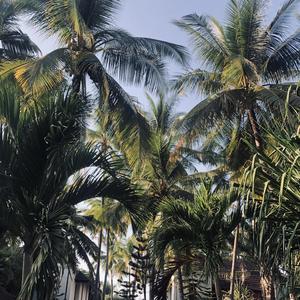 如何治愈（prod by Lisure）