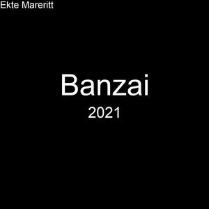 Banzai 2021