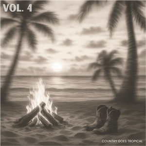 Highway Don't Care (Tropical Remix)