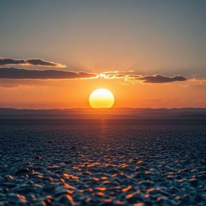 我会成为自己的太阳