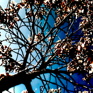 YOUNG AGAIN(PROD.GOLGSOULBEATS)