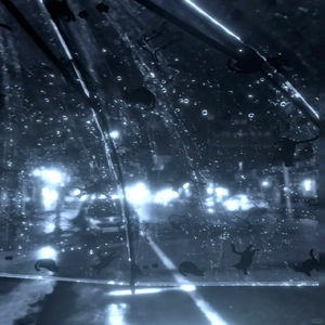 寂寞沙洲冷(R&B版)（Cover Dr. Phonk）