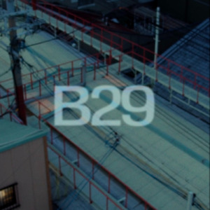 B29