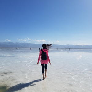 穷杀风月——记刘禹锡（Cover 雲流れ-东方萃梦想）