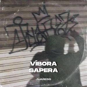 Vibora Sapera