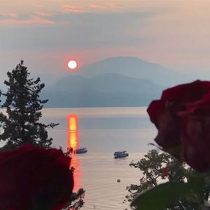 《风吹过的惬意暖阳天》