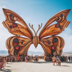 Hype Butterfly