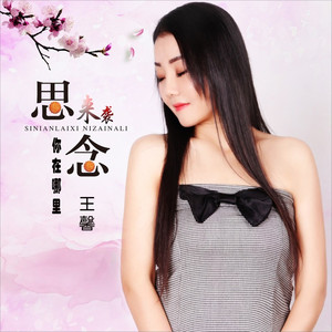 思念来袭你在哪里 (DJ何鹏版伴奏)