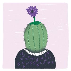 南方姑娘（原唱：赵雷）