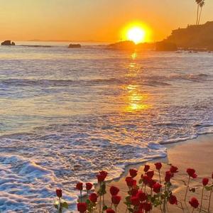 我们还有好多好多年