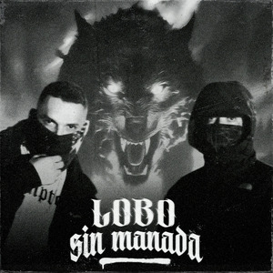Lobo Sin Manada