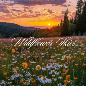 Wildflower Skies