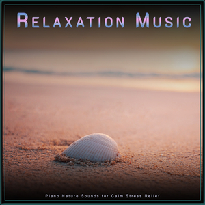 Relaxation Playlist