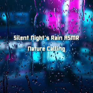 고요한 밤에 내리는 비 ASMR