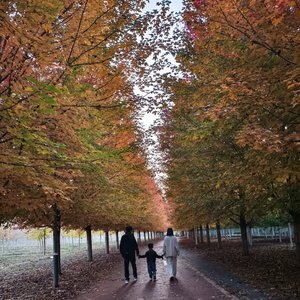 爱不是虚假承诺