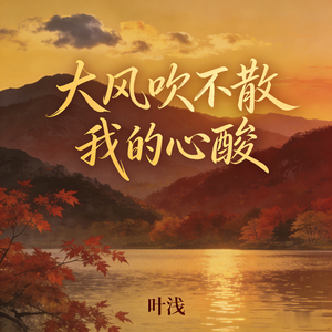 大风吹不散我的心酸